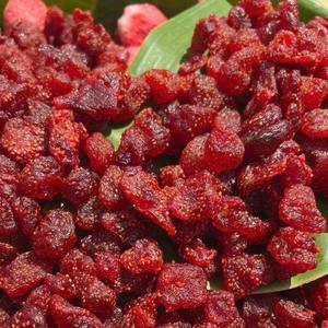 Fresas Secas Suaves en Trozos Enteros |   Snack Natural de Fruta Masticable |   Suministro al por Mayor de Calidad Premium - Sra. Tarina - Product Image 4