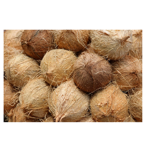 Coco Seco Premium Semi Descascarillado, Producto Agrícola Tropical para Exportación, Mejor Calidad de Marca - Product Image 3