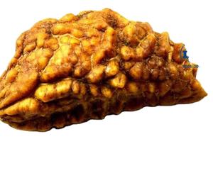 Tarjeta de regalo Mukhi Rudraksha Piedra espiritual india tradicional - Product Image 2