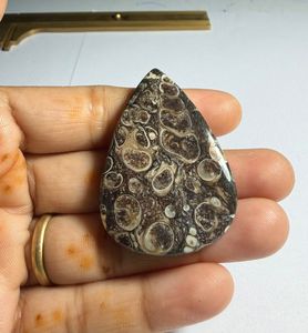 Lot en gros d'agates cabochons TURRITELLA au poids, avec différentes formes et tailles, utilisées pour la fabrication de bijoux, pierre TURRITELLA - Product Image 1