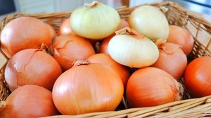 Compre Cebollas Rojas Frescas de Primera Calidad, Cebolla Roja Seca, Nueva Cosecha, Precio Económico, Alta Calidad, Lista para Exportación Directa a Austria - Product Image 2