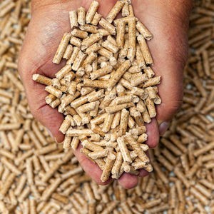 Source d'énergie renouvelable en granulés de bois de pin pour chaudières à biomasse, équipements de cuisson et systèmes de chauffage central, faible teneur en cendres - Product Image 6