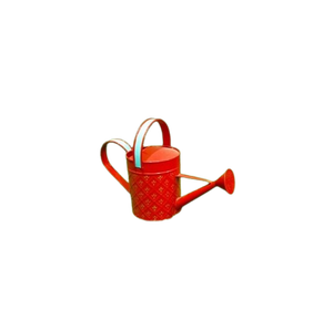 Arrosoir en fer galvanisé avec long bec pour le jardinage, finition durable, arrosoir en acier inoxydable, pot à eau pour balcon - Product Image 3