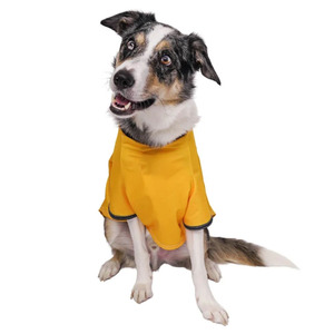 Yellow Mesh Animal Pattern Sport <b>Dog</b> Dresses Waterproof Portable Simple Design for Daily Use All Seasons Pet <b>Clothes</b> - Product Image 3