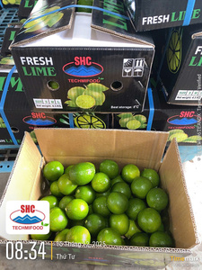 Citron vert sans pépins du Vietnam – Récolte fraîche, arôme intense, approvisionnement fiable pour l'exportation - Product Image 4