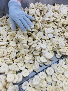 Bananes séchées par congélation, préservées dans l'eau, échantillon gratuit, collation saine et croustillante, meilleur prix pour la vente en gros directe d'usine du Vietnam - Product Image 3
