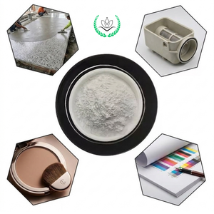 Polvo de Talco Recubierto de Plástico de Alta Calidad, Silicato de Magnesio de Grado Masterbatch de Alta Blancura, Bajo MOQ, Suministro para Importadores - Product Image 5