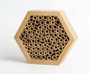 Tubes en roseau naturel pour maisons d'abeilles, abris pour insectes de jardin et espaces extérieurs propices aux pollinisateurs Eco2go Vietnam - Product Image 3