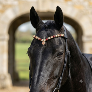 Pendentif en cristal de luxe ambre topaze grenat en forme de goutte, strass, cuir en V profond, frontale de cheval, qualité supérieure, dressage - Product Image 6