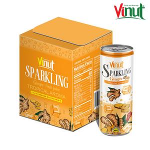 Jus de fruits et légumes VINUT Vietnam Factory, échantillon gratuit, marque privée, 250 ml, gingembre, pastèque, citron vert, fraise, café - Product Image 1