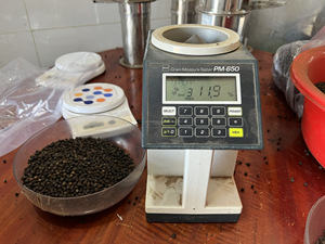 Poudre de poivre noir/blanc épicé chaud du Vietnam/qualité supérieure de baie légère de tête d'épingle de l'usine du Vietnam supérieure - Product Image 4