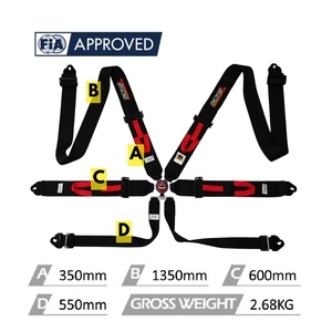 Arnés de Carreras Profesional FIA con Hebilla de Bloqueo de Leva, Cinturón de Seguridad OEM de Marca Privada para Deportes de Motor y Coches de Rally - Product Image 3