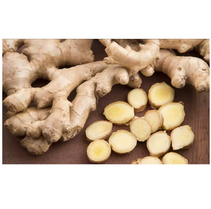 Gingembre frais de qualité export, récolté à la ferme, épice pour la préparation culinaire, la fabrication alimentaire et les marchés de gros - Product Image 4