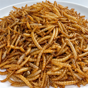 Alimento Innovador 2026: Harina de Larvas de Mosca Soldado Negra, Tipo Seco, para Peces, Futuro Alimento para Peces, 18 Meses de Vida Útil, Grado 5%/Alina - Product Image 2