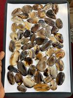 Perles lisses et polies en agate naturelle du Montana de qualité export pour la fabrication de bijoux, la guérison, la décoration et la création de cadeaux – Disponibles