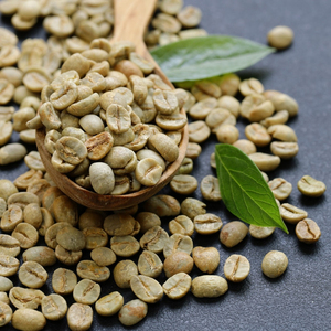 เมล็ดกาแฟโรบัสต้าสีเขียวคุณภาพสูง พร้อมส่ง ขายส่ง ปริมาณมาก คุณภาพพรีเมียม สำหรับส่งออก - Product Image 6
