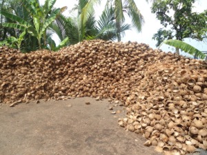 โรงงานเวียดนาม ผลิตภัณฑ์เปลือกมะพร้าวดิบ เปลือกมะพร้าวธรรมชาติ วัตถุดิบจำนวนมากสำหรับงานฝีมือ ผู้จัดจำหน่ายถ่านสำหรับส่งออก - Product Image 3