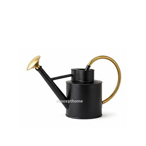 Arrosoir en métal crème avec poignée et bec en laiton pour le jardinage - Product Image 4