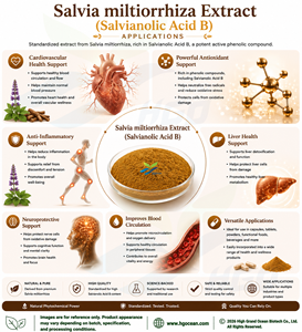 Extrait de racine de Salvia Miltiorrhiza pur et naturel en poudre (qualité alimentaire) avec 60 % d'acide salvianolique, fourni directement par l'usine HGO - Product Image 4