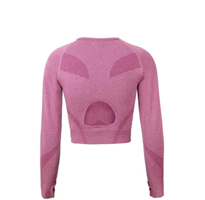 Conjuntos de Yoga Elásticos Ligeros para Mujer, Ropa Deportiva Personalizada para Gimnasio al Aire Libre, Traje Deportivo al por Mayor con Patrón Sólido para Chicas - Product Image 4