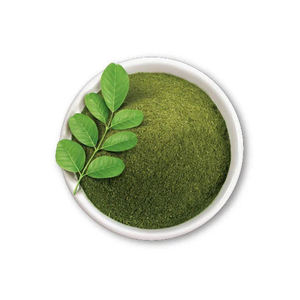 ผงใบมะรุมบริสุทธิ์ อบแห้งด้วยวิธีสเปรย์ สำหรับใช้เพื่อสุขภาพ ผลิตในอินเดีย 25 กก. เฮอร์โบจิต - Product Image 2