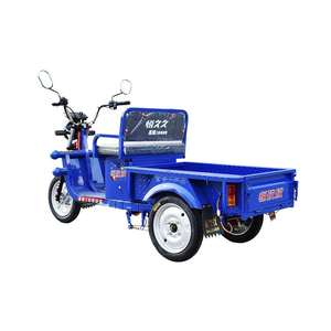 Triciclo Eléctrico de 1m Directo de Fábrica, con Techo Solar para Pasajeros, Triciclo de Carga, Motocicleta con Capacidad Motorizada de 400kg, Carrocería Abierta, 48v - Product Image 2