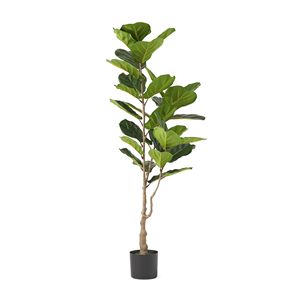Albero Artificiale di Ficus Lyrata da 59 Pollici - Product Image 2