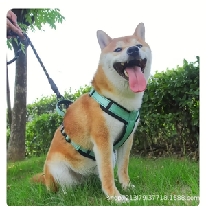 New Adjustable Two Piece Canine Harness Reflective Padded Chest Vest for Small Medium Puppy Daily Walking - Product Image 2