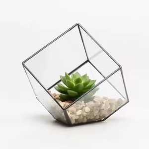 Exclusive <b>Frame</b> Indoor Garden Metal Terrarium Glass Planter Elegant <b>Plant</b> Holder Geometric Home Decor - Product Image 6