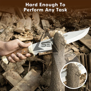 Accessoires de plein air, couteaux Bowie personnalisés OEM de haute qualité, écologiques, en acier inoxydable avec manche en bois, garantie de 3 ans, nouveau style - Product Image 5