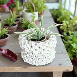 Minimal Macrame Storage <b>Basket</b> Set Ideal For Home Organizer Bathroom Kitchen And Living Room Decorative Storage Solution - Product Image 2