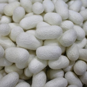 เวียดเดลต้าสำหรับรังไหมเลอซิลค์โคคูนในราคาที่ดีที่สุดในตลาดเวียดนาม - Product Image 6
