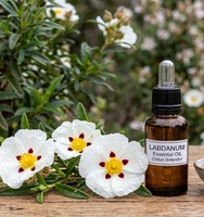 Huile essentielle de labdanum 100% pure pour l'aromathérapie, la parfumerie, la formulation cosmétique, la fabrication de savons et de bougies, huile naturelle en vrac, vente en gros