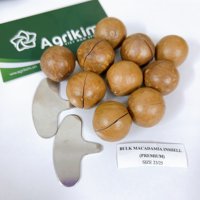 Premium Kwaliteit Macadamia Noten En Pitten Gedroogd Fruit Uit Vietnam Goedkoopste Prijs Op Markten Contact Nu + 84363565928