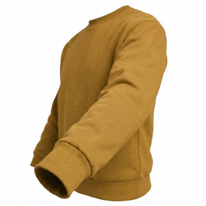 Sweat-shirt d'hiver uni 100 % coton de haute qualité, coupe classique, vente chaude, prix abordable, nouvelle arrivée, sweat-shirts à capuche personnalisés pour hommes 2026 - Product Image 4