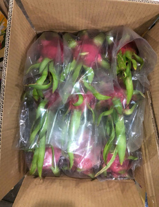 Fruta del Dragón Roja Congelada IQF Premium |   Fabricante Vietnamita de Frutas Tropicales Congeladas al por Mayor - Product Image 6