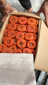 ลูกพลับอบแห้งเนื้อนุ่ม รสชาติชุ่มฉ่ำ เหมาะสำหรับชุดของขวัญสำหรับร้านขายขนม และผู้ซื้อขายส่งระดับโลก - Product Image 3