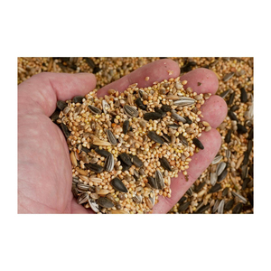 Graines de canaris pures en vrac, disponibles en gros à des prix abordables - Product Image 5