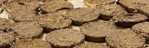 Pastel de Estiércol de Vaca Natural (Pastel de Gobar) |   Combustible Orgánico Ecológico para Cocinar y Uso Religioso - Product Image 3