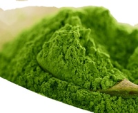 Bubuk Daun Moringa Oleifera Murni & Alami Terlaris Grosir 100% Lulus Ukuran 80 Mesh Langsung Dari India - ELITE HERBALS