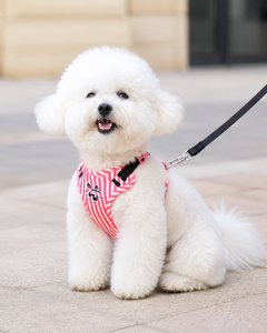 Arnés y Correa para Perro con Diseño de Rayas en V, de Gamuza y Malla Transpirable, Anti-Tirones, para Perros Pequeños y Medianos, Venta al Por Mayor, OEM - Product Image 6