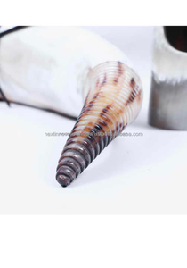 Bull Drinking Horn Tankards for Sipping Beer <b>Wine</b> Tea Coffee or Milk <b>Set</b> Available - Product Image 5
