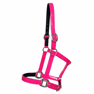 Cabestro Ajustable Premium de PVC para Caballo con Narquileras Acolchadas |   Equipo de Entrenamiento y Aseo Cómodo |   Establos Personalizados para Exportación OEM a India - Product Image 2