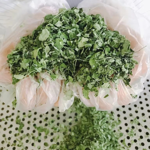 SUPERVENTA: Moringa Seca Vietnamita en Polvo, Superalimento Vegano, Alto en Proteínas, 100% Natural, 1kg/10kg/50kg, Estándar de Exportación Viet Delta - Product Image 1