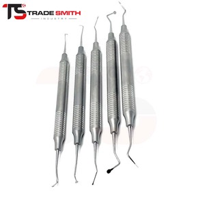 ชุดเครื่องมือขูดหินปูนเกรซี่คิวเร็ตต์ TSI Wholesale Dental ทำจากสแตนเลส สำหรับผู้จัดจำหน่ายอุปกรณ์ทันตกรรม คลินิก และผู้ซื้อระดับโลก - Product Image 1