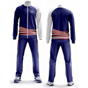 Conjuntos de Sudadera con Capucha y Pantalones Deportivos con Parches Bordados con Logotipo Personalizado OEM ODM, Ropa Deportiva Urbana, Envío Directo desde Almacén - Product Image 2