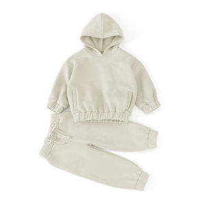 Conjunto de Sudadera y Pantalones Deportivos para Otoño e Invierno, Sudadera con Capucha Extra Grande para Bebés y Niños Pequeños, Conjunto Deportivo de Felpa Francesa de 2 Piezas, Conjuntos de Ropa Deportiva para Niños - Product Image 4