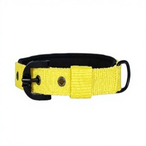 Adjustable Nylon Dog <b>Collar</b> with Heavy Duty Buckle Custom <b>Pet</b> <b>Collar</b> Wholesale from Divine International - Product Image 1