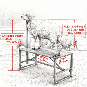 Supporto Professionale per Bestiame, Altezza Regolabile, Materiali Durevoli in Ferro, Acciaio e Acciaio Inossidabile per Suini e Bovini, per Uso Agricolo - Nuovo e Usato - Product Image 6