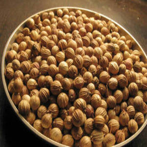 Semillas de Cilantro Indio Enteras de Primera Calidad de Nueva Temporada (Coriandrum Sativum) 100% Naturales de Gujarat, 12 Meses de Vida Útil, Cosecha Fresca - Product Image 2